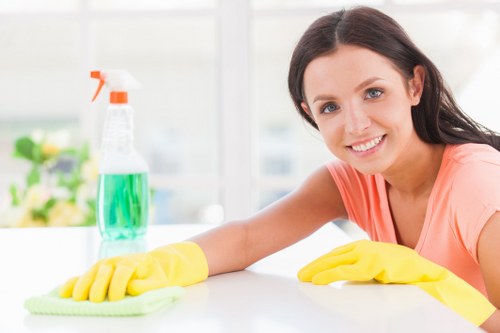 Professional cleaner in Catford for home cleaning