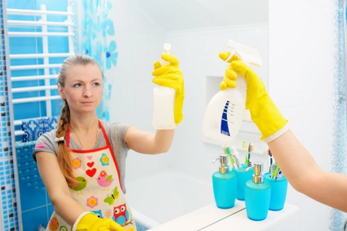 Professional cleaning company in Catford servicing a modern home