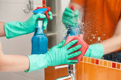 Professional carpet cleaning in a Catford home living room