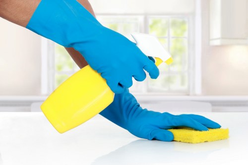 Exterior wall cleaning service for Catford property maintenance