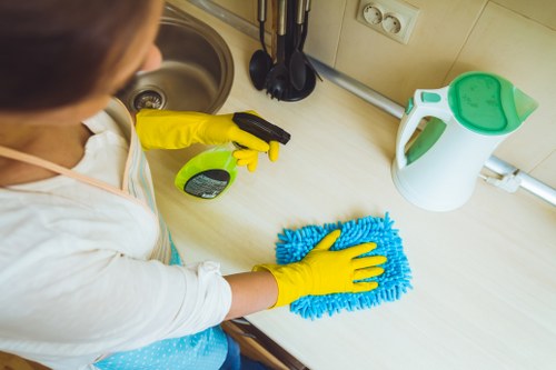 Professional window cleaning in Catford for bright and clear glass