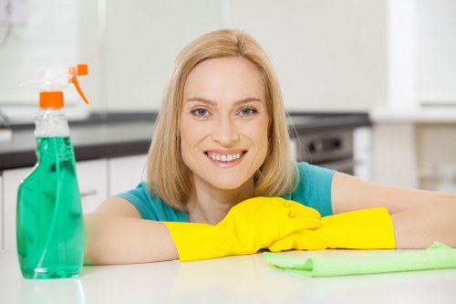 Trusted cleaning company in Catford handling office cleaning