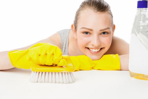 Thorough Catford home cleaning of living areas and hard-to-reach spaces