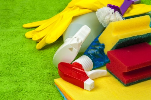 Catford Carpetcleaning service showing safe and careful cleaning practices