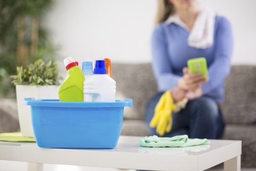 Hot water extraction carpet cleaning in Catford