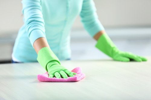 Reviewing details of a carpet cleaning complaint for clarity and fairness