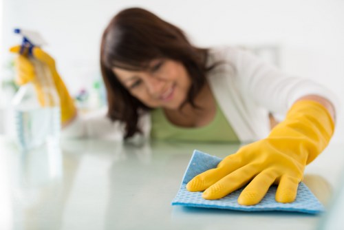Experienced cleaners in Catford maintaining a spotless living room