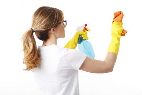 Final property cleaning before check-out in Catford