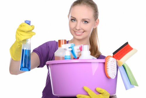 Catford carpet cleaners working on a well-maintained residential carpet