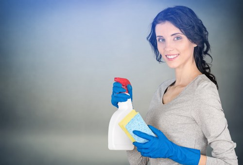 Eco-friendly carpet cleaning equipment for Catford homes